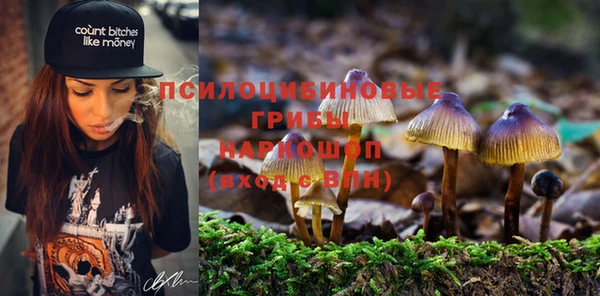 MDMA Premium VHQ Белокуриха
