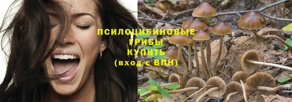 героин Болотное